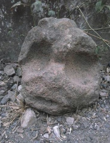 Vendo Piedra con apariencia (rostro) de homos - Imagen 1