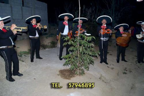  El mariachi de guatemala se pone a sus órde - Imagen 2