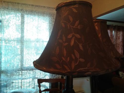 Vendo lamparas para decoraestan en estado ti - Imagen 3