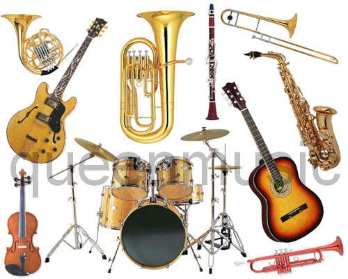 les ofrecemos todo tipo de instrumentos music - Imagen 1