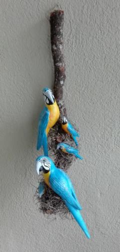 Lindas guacamayas en rama para decorar su ja - Imagen 2