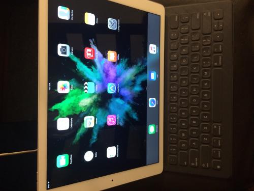 Vendo iPad Pro de 13 pulgadas de 128gb plate - Imagen 3