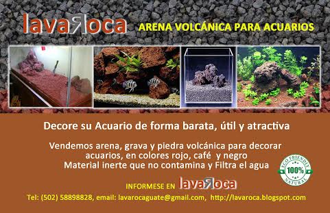 Arena y Piedra Volcnica para Acuarios Decor - Imagen 1