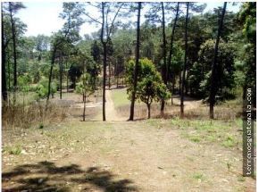Hermoso terreno en Chimaltenango de 10X30 con - Imagen 1