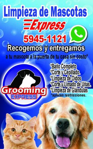 Servicio de Grooming para Perros y Gatos con - Imagen 1