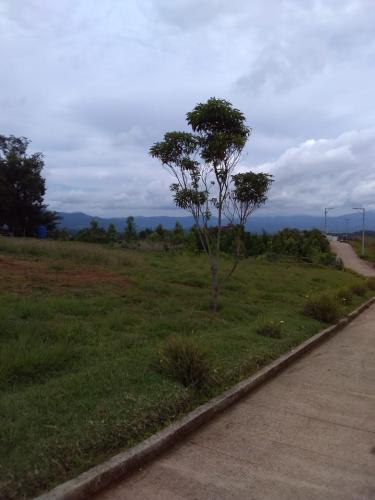 Vendo bonito terreno en Carretera al Salvador - Imagen 1