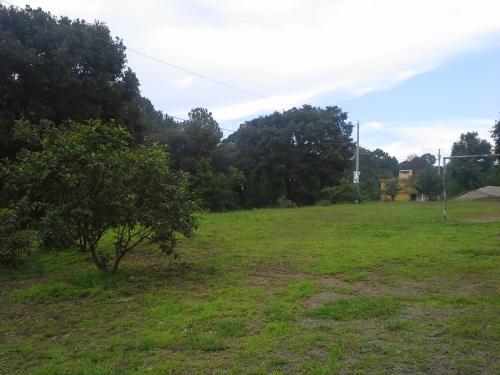 Hermoso terreno en el km 32 de San Juan Sacat - Imagen 1