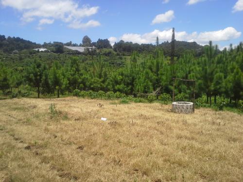 Vendo terreno en San Juan Sacatepequez a 5 m - Imagen 3