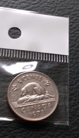 Moneda Canada Castor 5 cents fecha 1973 Eliz - Imagen 1