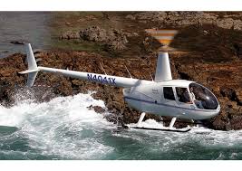 Busco socio para operar helicópteros Robinso - Imagen 2