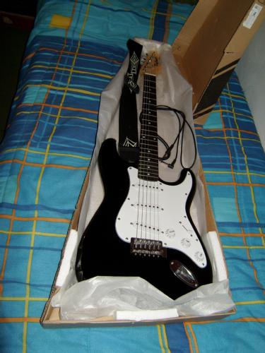 Vendo Guitarra Electrica Palmer Estratocaster - Imagen 1